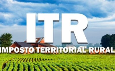DITR 2025 começa em 11 de agosto e agora pode ser feita direto no Portal da Receita Federal