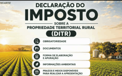 Informativo Setembro de 2026